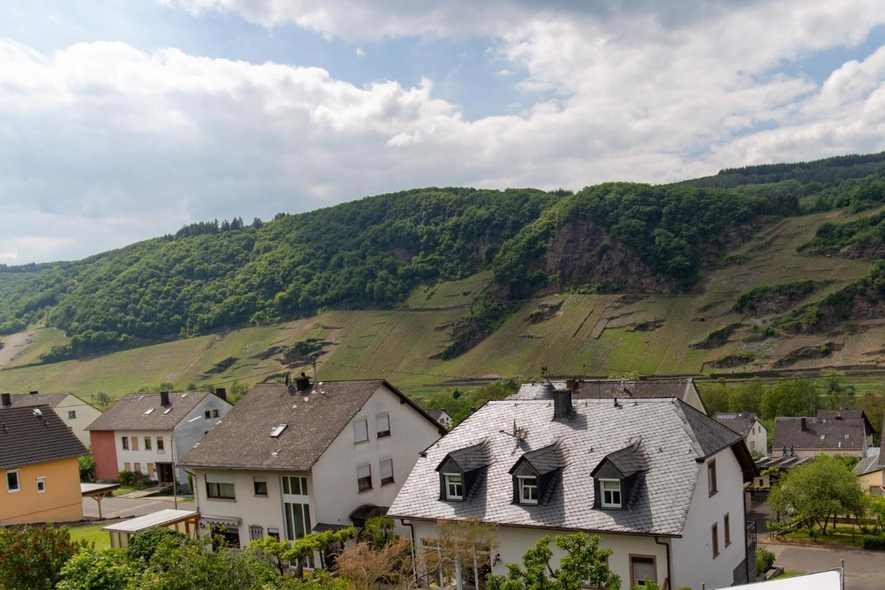 Ferienwohnungen Schorn Burg  エクステリア 写真